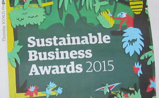 Guardian Sustainable Business Awards